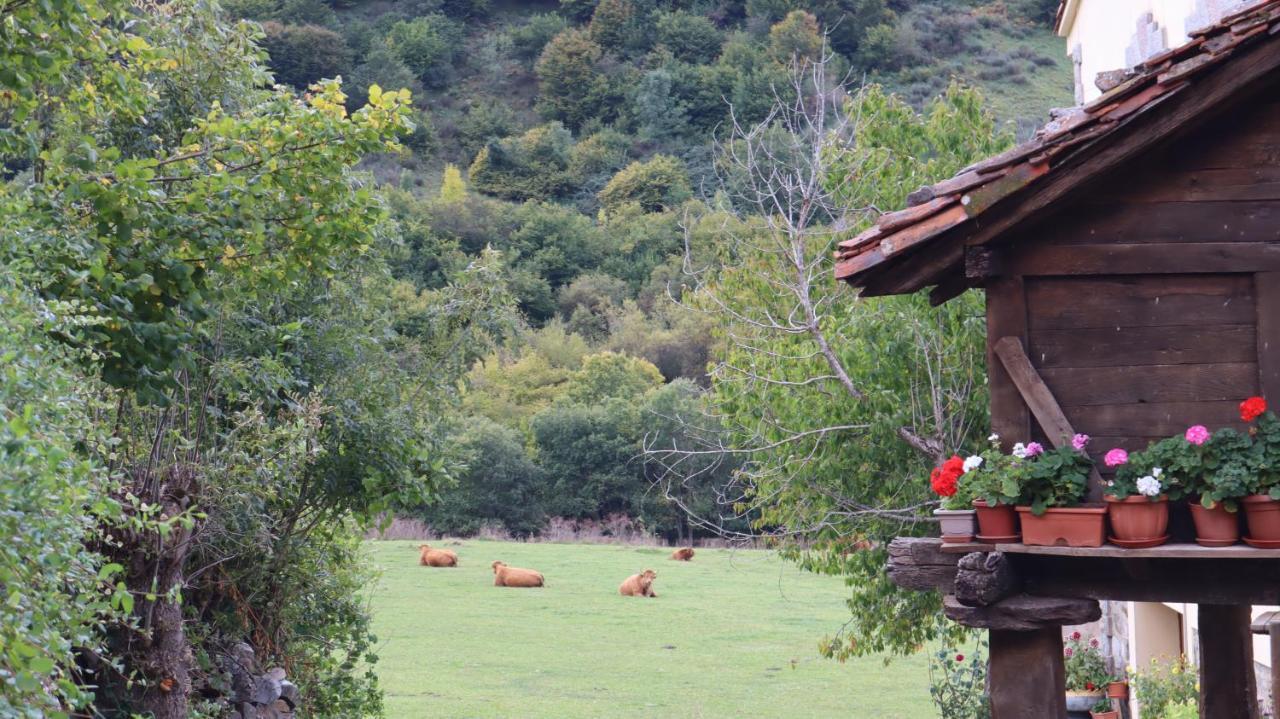 Casa Rural Cares Санта-Мария-де-Вальдеон Экстерьер фото