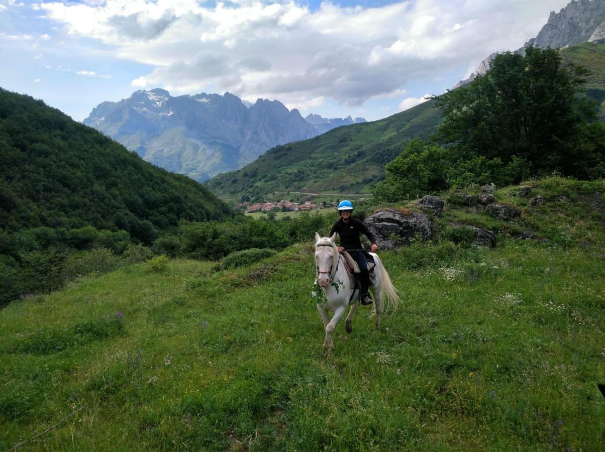 Casa Rural Cares Санта-Мария-де-Вальдеон Экстерьер фото